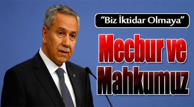 Arınç: Biz iktidara mecbur ve mahkum bir partiyiz çünkü...