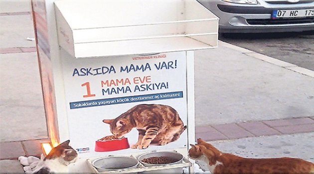 Askıda Mama Var