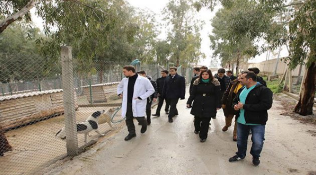 Atıklardan Can Dostlara Kulübe Yaptılar