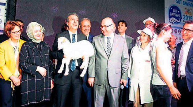 Avrupa'da birinci dünyada yedinci