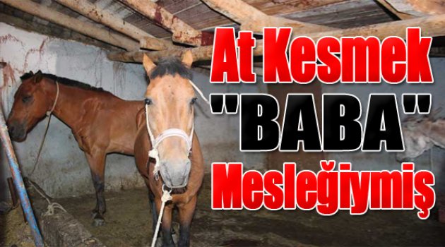 Baba Mesleği: "At Kesmek"