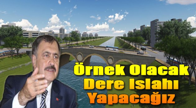 Bakan Eroğlu İddialı: "Örnek Olacak Islahlar Yapacağız"