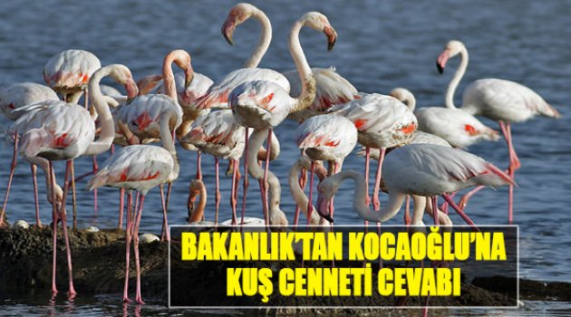 Bakanlık'tan Kocaoğlu'na 'Kuş Cenneti' Cevabı
