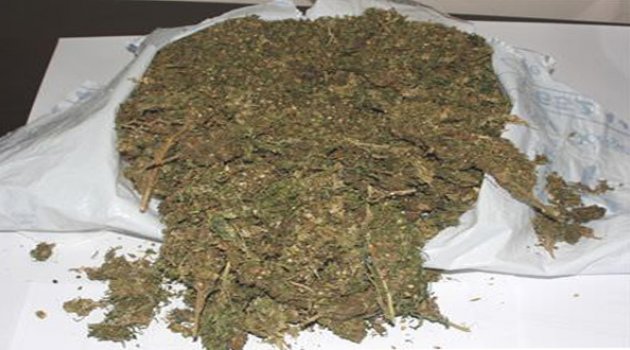 Bal Kovanından Esrar Çıktı