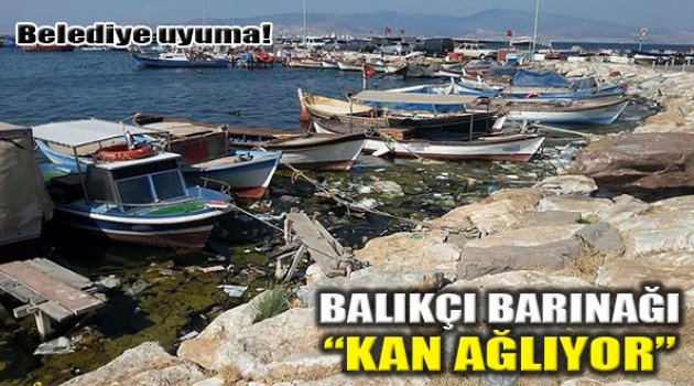 Balıkçı Barınağı Kan Ağlıyor