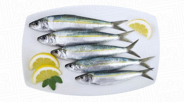 Balıkçılar Güzelbahçe'de Buluşacak