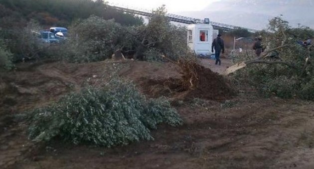 Başbakan Yardımcısı: Çevreyi vahşi kapitalizmin kurallarına terk edemeyiz