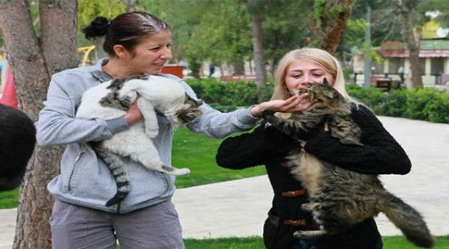 Bayraklı&#039;da Can Dostların Sorunlarına Yakından Takip