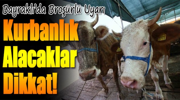 Bayraklı'da Kurbanlık Alacaklara Broşürlü Uyarı