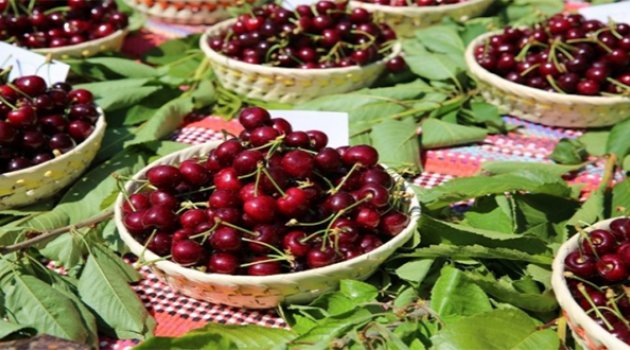 Belenbaşı&#039;nın Kirazları Görücüye Çıktı