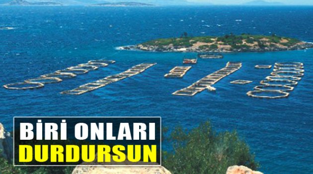 Biri Bu Çiftliklere Dur Desin!