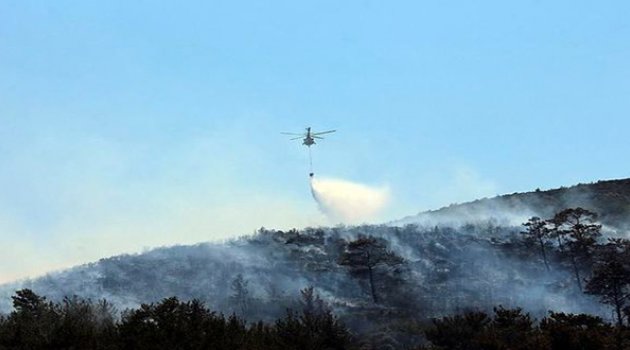 Bodrum'u Kasıtlı Mı Yaktılar?