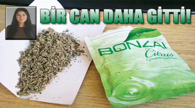 Bonzai İlleti Bir Can Daha Aldı!