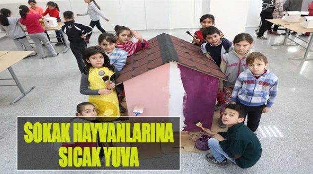 Bornova’da Sokak Hayvanlarına Sıcak Yuva