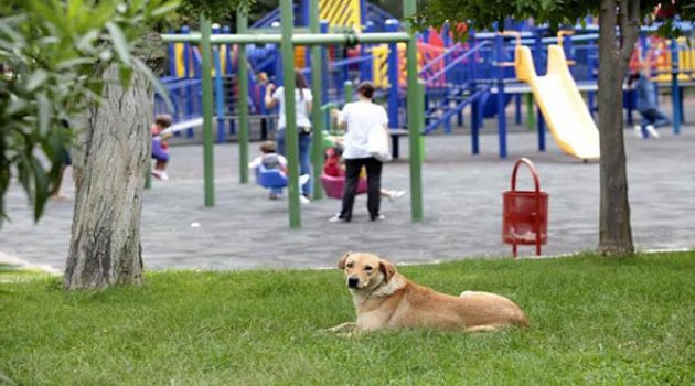 Bornova Onların da Evi