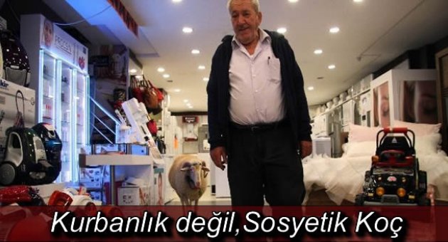 BU DA SOSYETİK KOÇ !