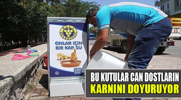 Bu Kutular Can Dosların Karnını Doyuruyor