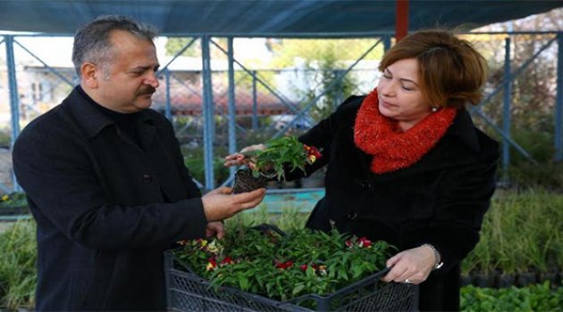 Buca 365 Gün Çiçek A