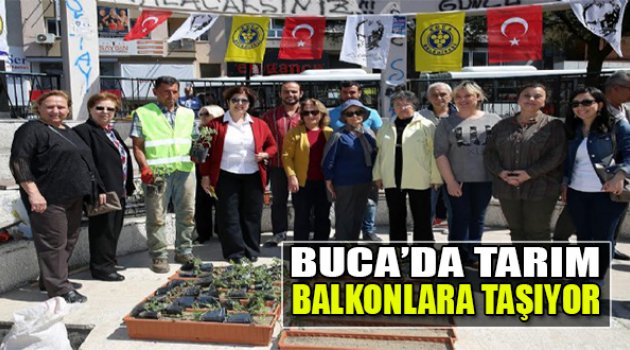 Buca’da Tarım Balkonlara Taşıyor