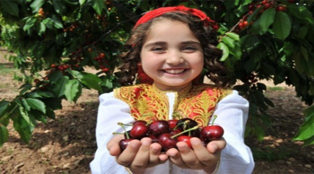 Buca Kiraz Festivali'ne Hazır