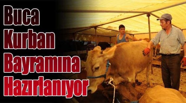 Buca Kurban Bayramı'na Hazırlanıyor