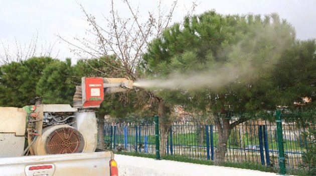 Buca&#039;da Çam Kese Böceği İle Mücadele Başladı