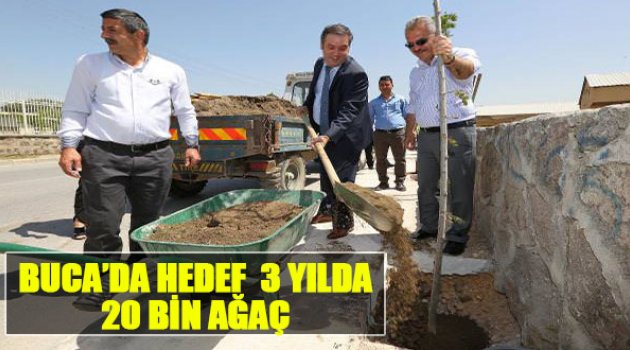 Buca'da Hedef 3 Yılda 20 Bin Ağaç