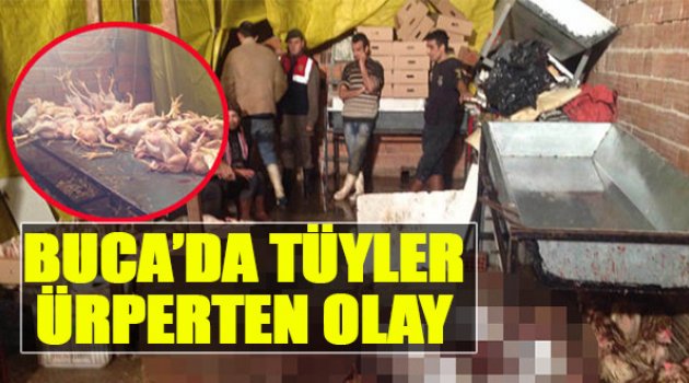 Buca'da Tüyler Ürperten Olay