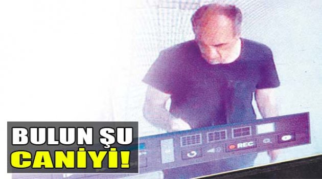 Bulun Şu Caniyi!