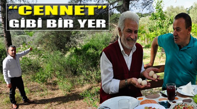 Burası Cennette Bir Köşe Gibi...