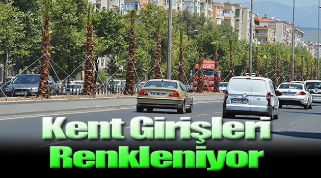 Büyükşehir, Ankara Caddesi’ne 250 Palmiye Dikiyor