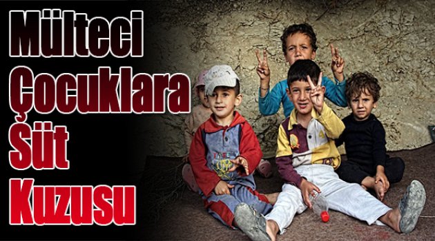Büyükşehir’e Mülteci Çocuklar İçin 'Süt Kuzusu' Çağrısı