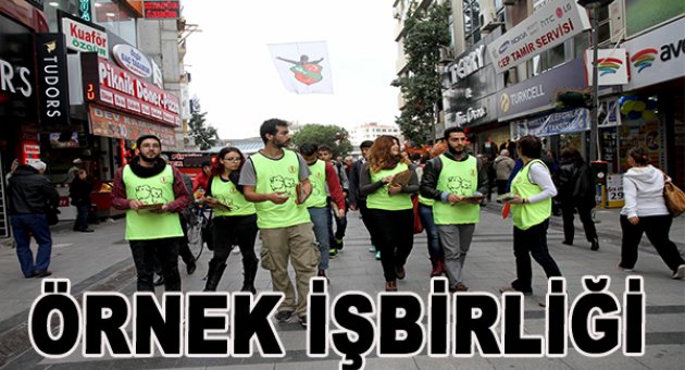 Can Dostlar İçin Örnek İşbirliği