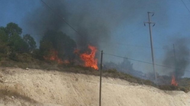 Çeşme'de Korkutan Yangın