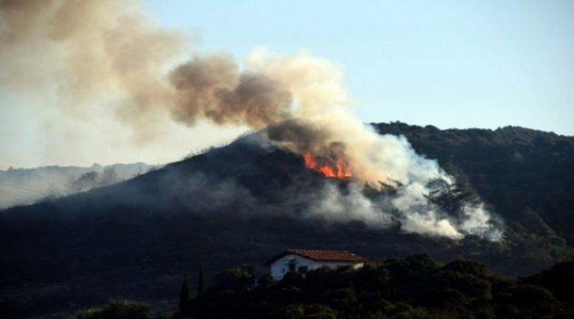Çeşme'de Ormanlık Alanda Yangın