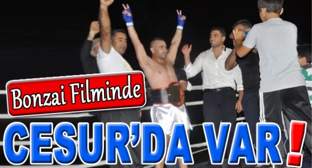 Cesur &quot;Bonzai&#039;yle&quot; karşımıza çıkacak...