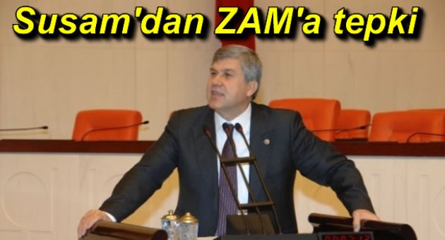 CHP&#039;li Susam&#039;dan Doğalgaz ve Elektrik Zammına Tepki