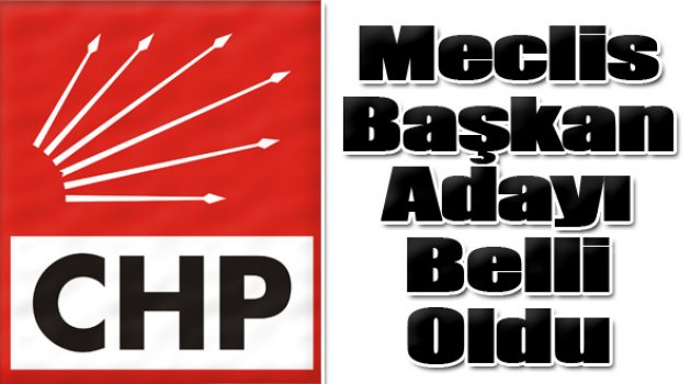 CHP'nin Meclis Başkanı Adayı Belli Oldu