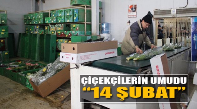 Çiçekçilerin Umudu "14 Şubat"