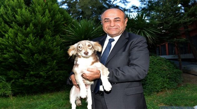 Çiğli Belediyesi'nden Hayvanlara Özel Bakımevi