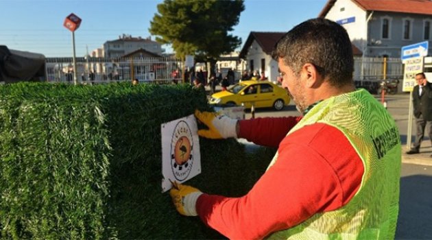 Çiğli&#039;de Çöp Konteynerleri Yeşilleniyor