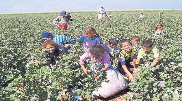 Çocuk işçide Hedef Yüzde 2