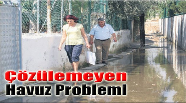 Çözülemeyen Havuz Problemi