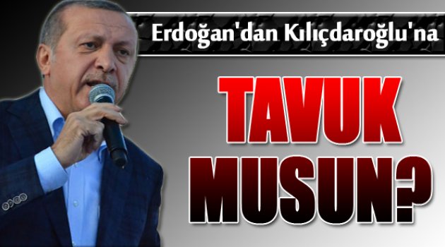 Cumhurbaşkanı Erdoğan'dan Kılıçdaroğlu'na: Tavuk Musun?