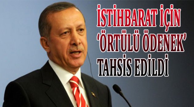 Cumhurbaşkanı'na istihbarat için 'örtülü ödenek' tahsis edildi