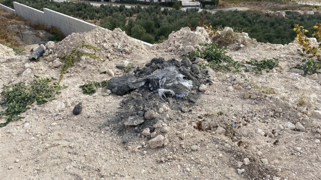 İzmir'de kimyasal atık alarmı!