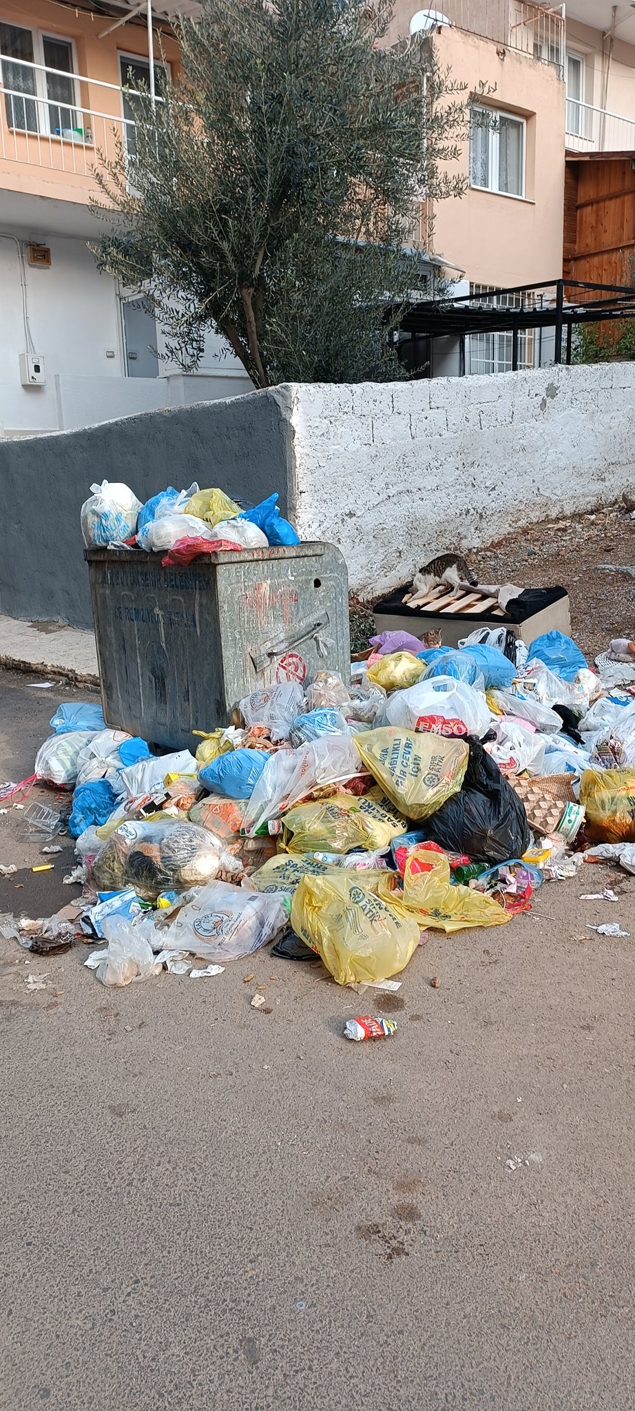 İşçiler maaşını alamadı, Çiğli çöp yuvasına döndü