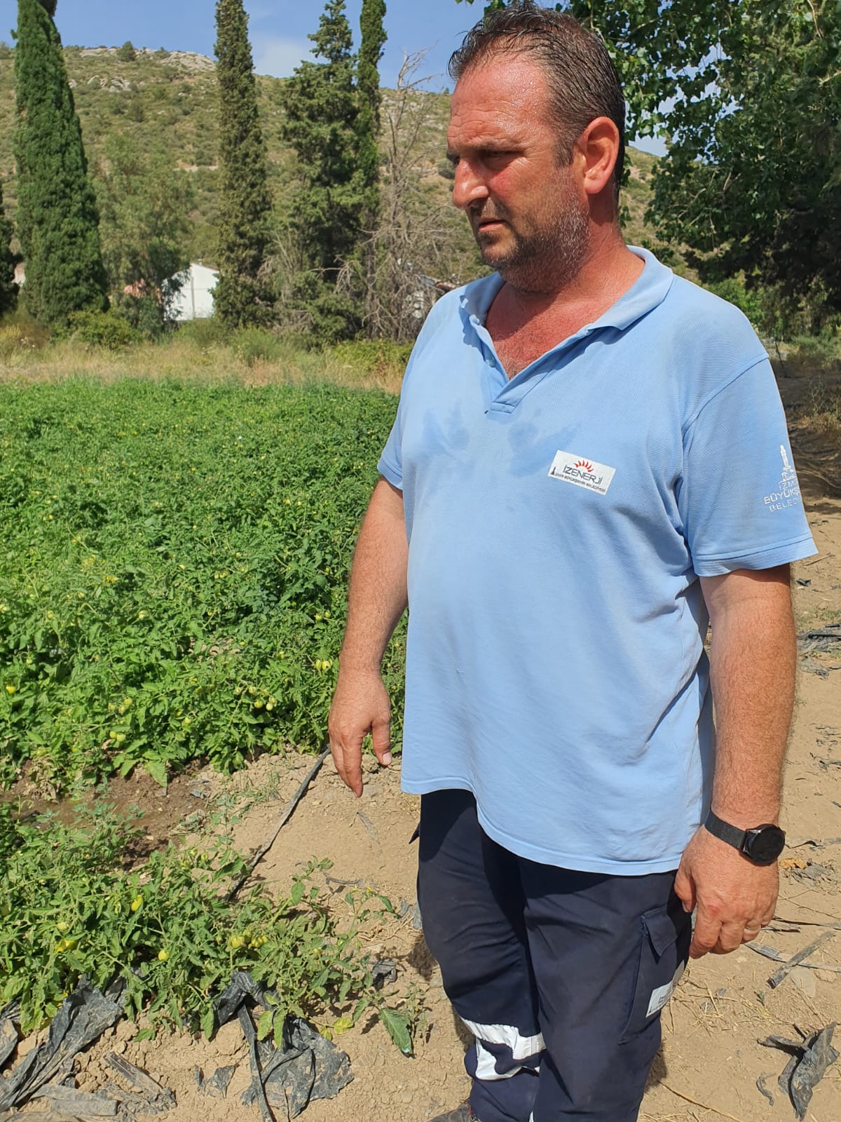 Salih Erkek yazdı...