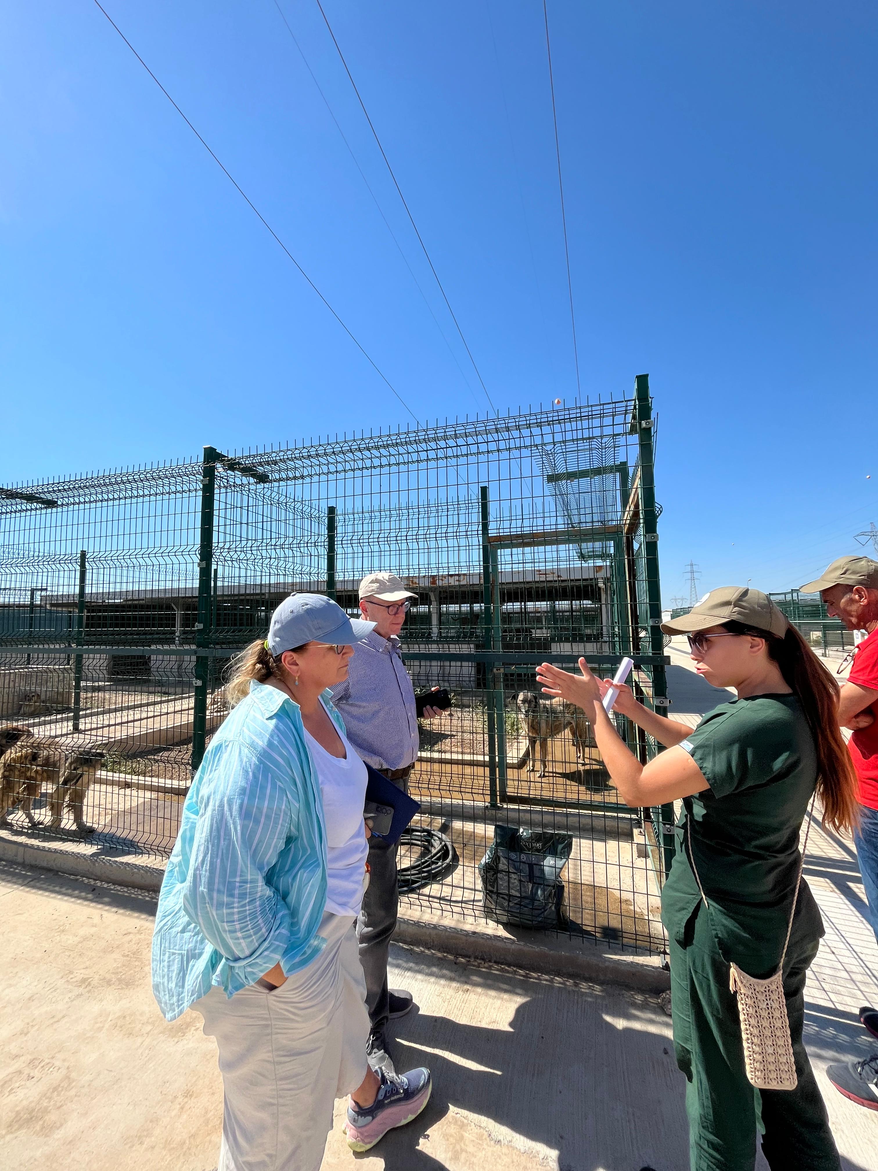 Büyükşehir ekipleri can dostları yangından korudu