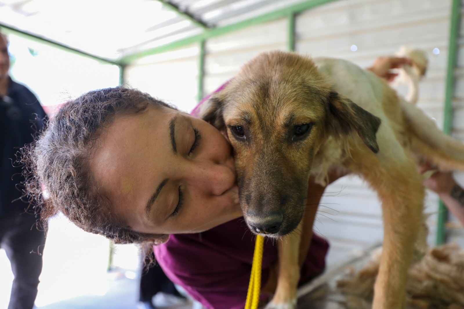 Karşıyaka can dostlara sahip çıkıyor